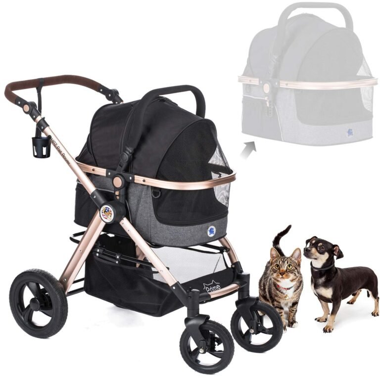 Pet stroller with cat and dog, with a detachable carrier