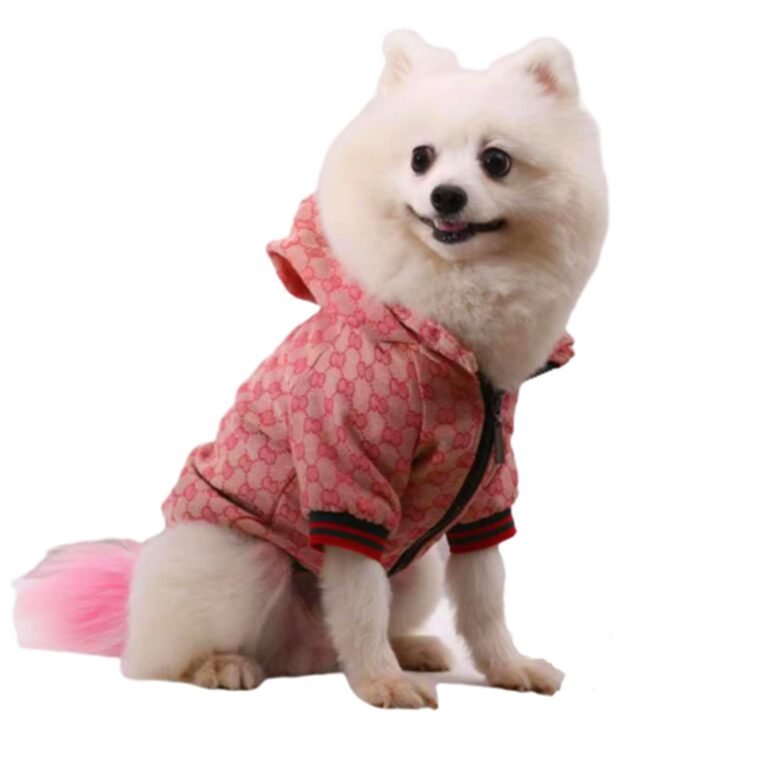 White dog wearing a pink patterned hoodie, sitting and smiling