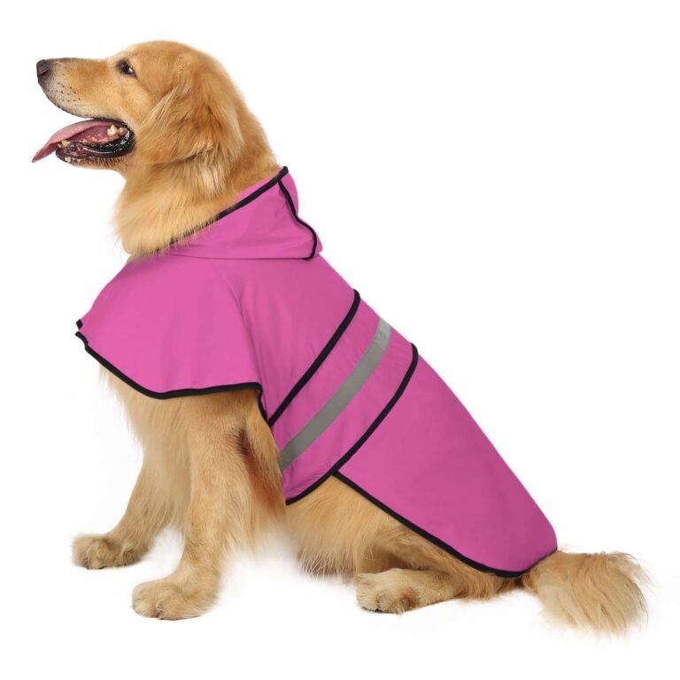 Golden retriever dog wearing a pink raincoat with reflective stripes
