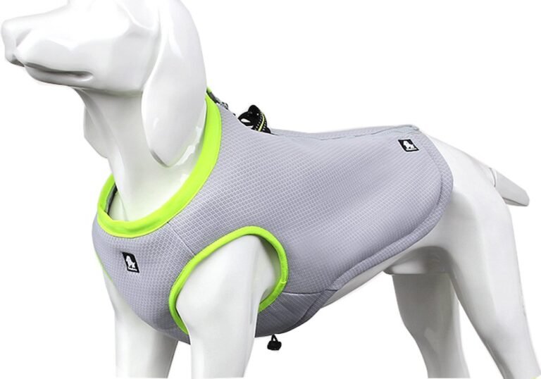 Dog mannequin wearing a gray cooling vest with neon green trim