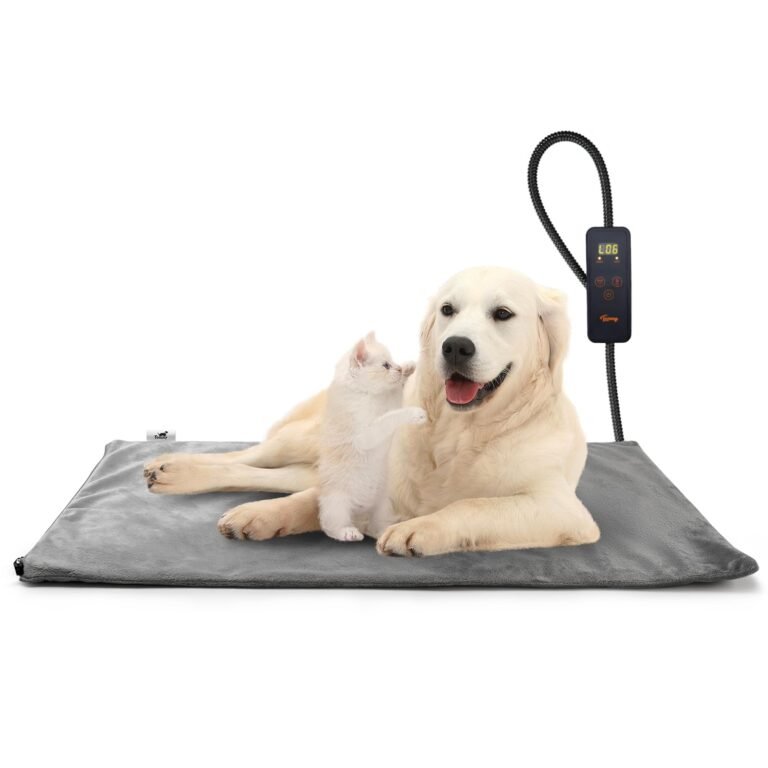 Dog and kitten on a heated pet bed with a digital controller