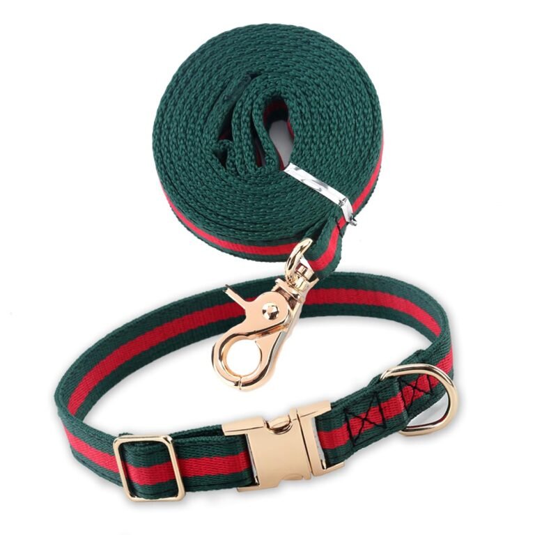 Green and red striped dog collar and leash with gold hardware