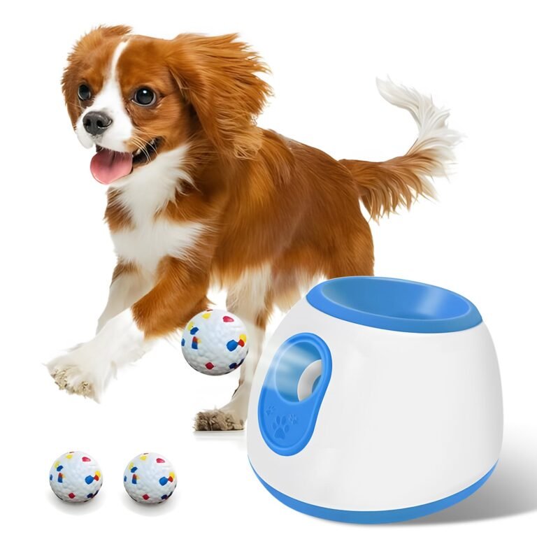 Dog playing with a ball launcher toy, with two balls nearby