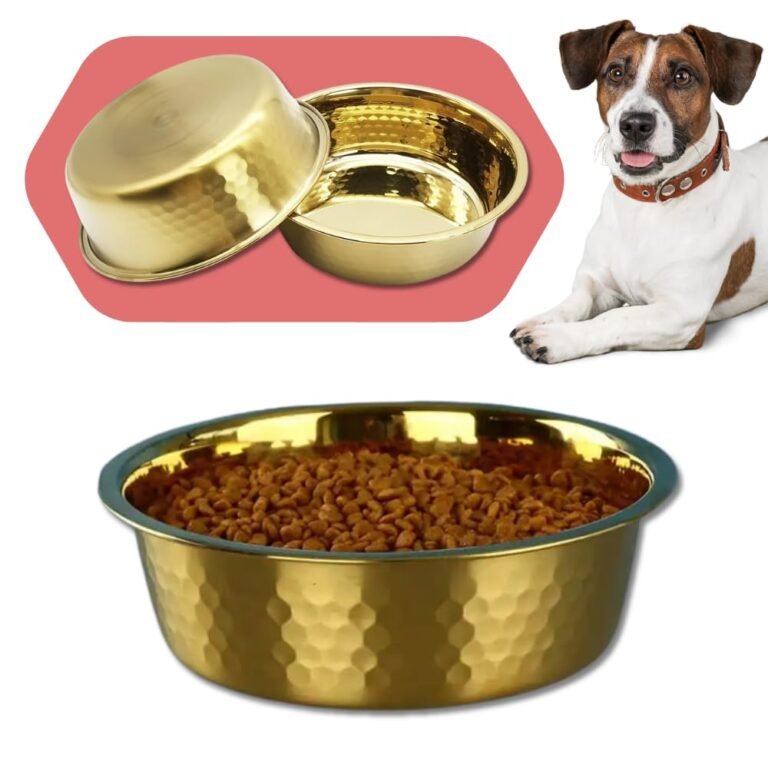 Golden dog bowls, one filled with food, and a Jack Russell Terrier