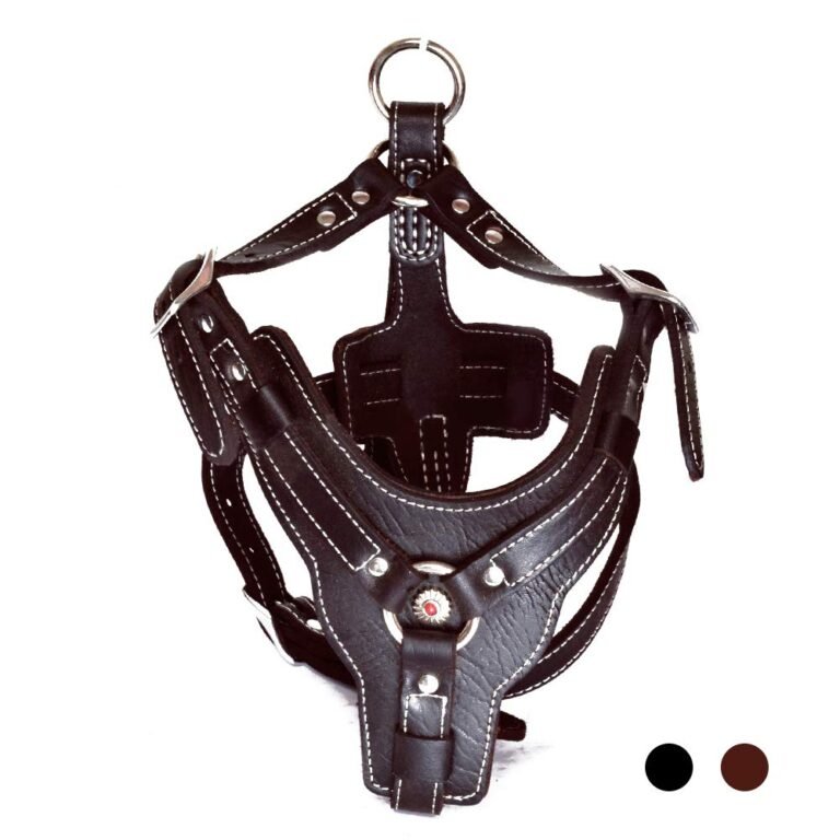 Black leather dog harness with white stitching, metal ring and red center