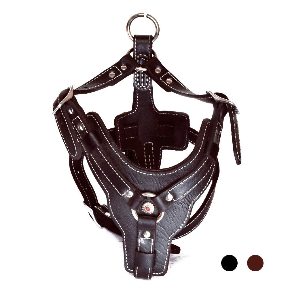 Black leather dog harness with white stitching, metal ring and red center