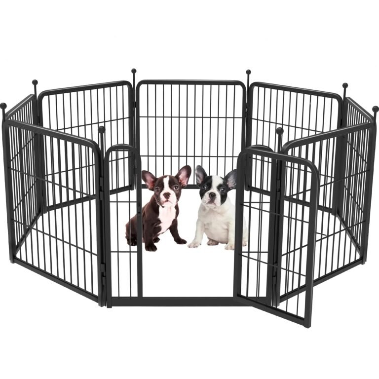 Two puppies inside a black metal playpen with an open gate