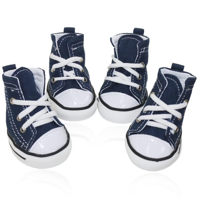Four small blue canvas shoes with white laces and toe caps