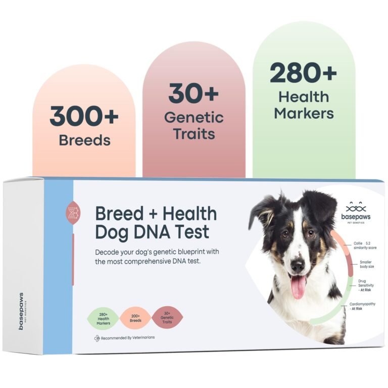 Dog DNA test kit with a dog, health markers, breeds, and genetic traits