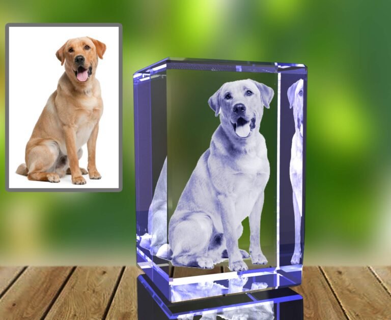 A Labrador dog photo in a crystal cube with a framed image