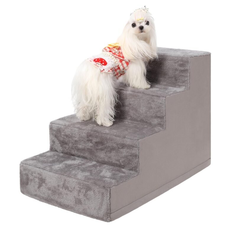 White dog in dress on gray pet steps