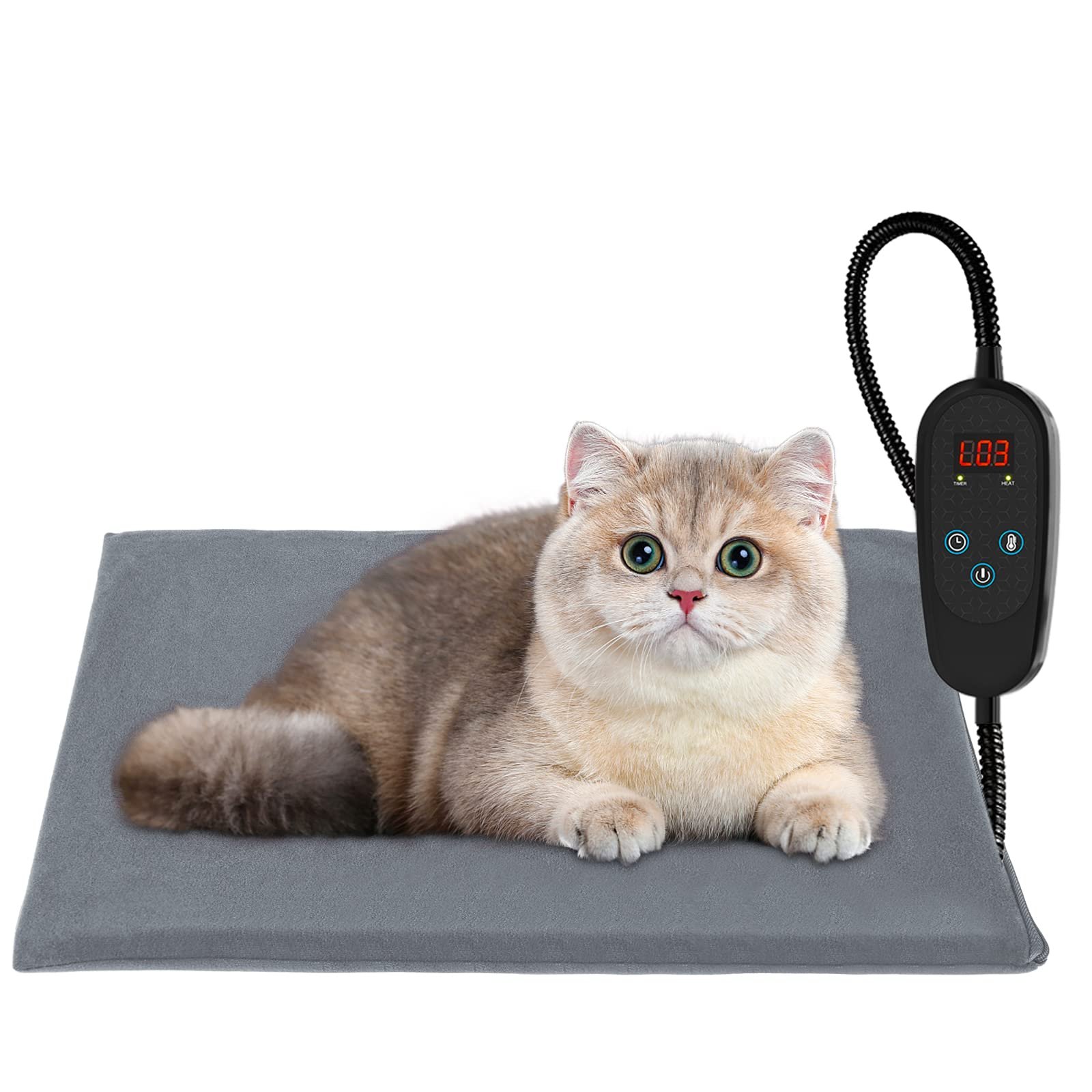 Cat lying on a heated pet bed with digital temperature control
