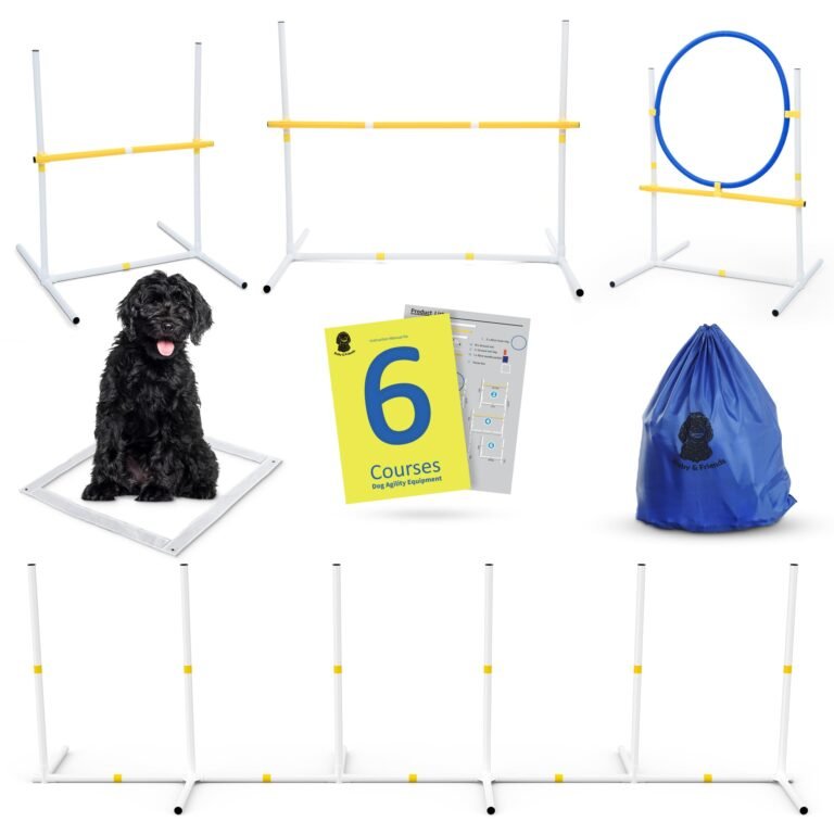 Dog agility equipment set with a black dog, jumps, and instructions