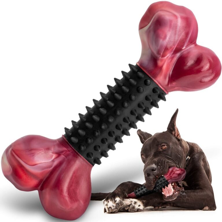 Dog chewing on a red bone-shaped toy with black spikes