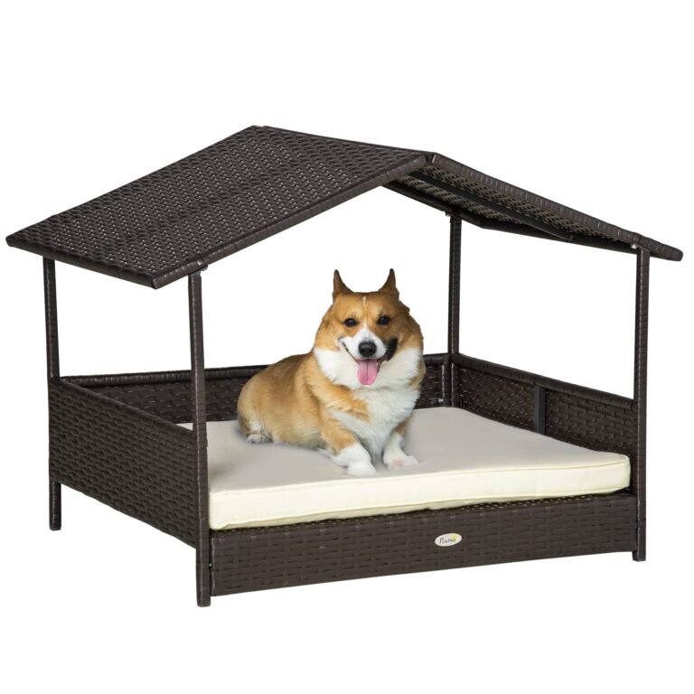 Corgi dog lounging on a bed with a canopy. The bed is brown wicker