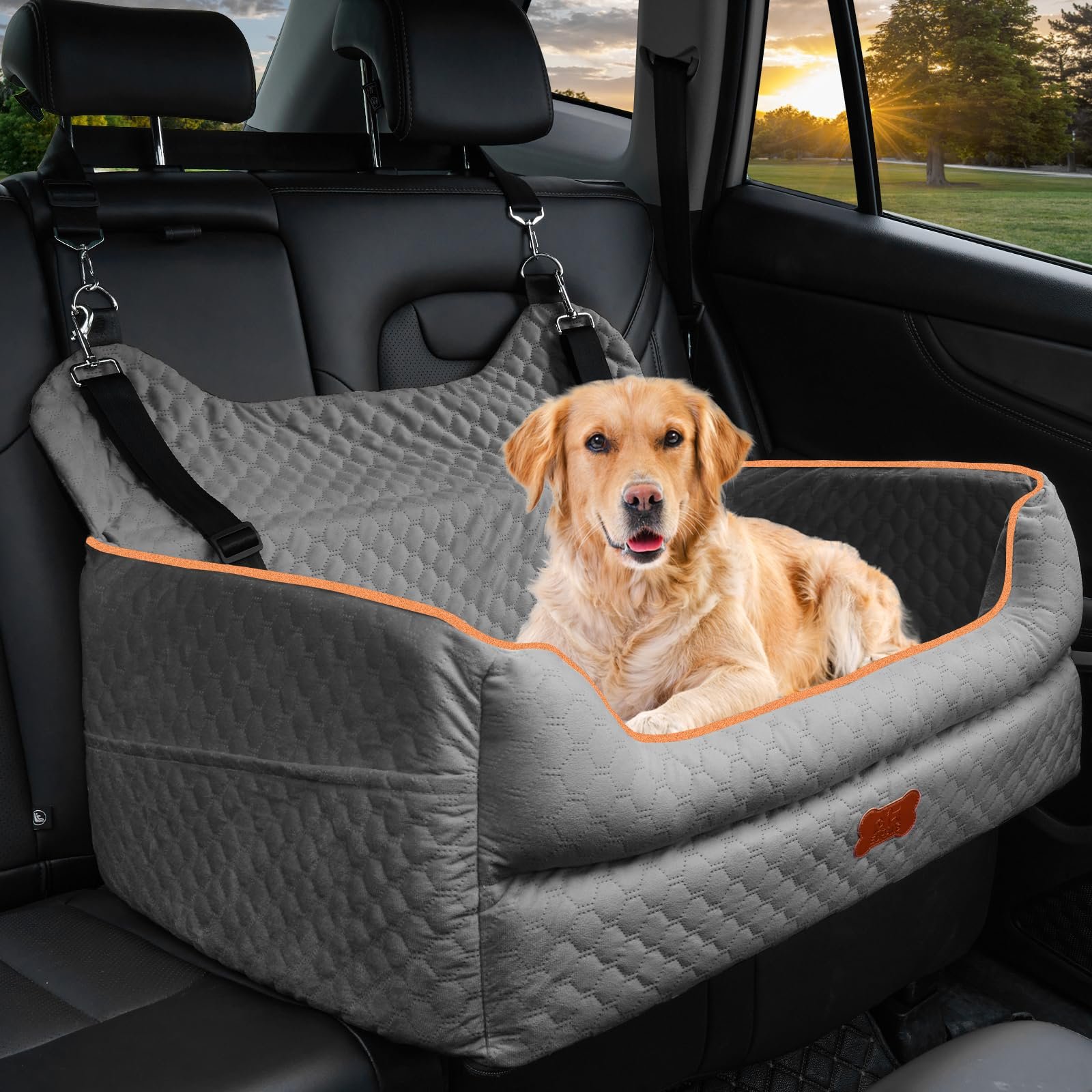 Golden retriever dog in a car seat bed, secured to the headrest