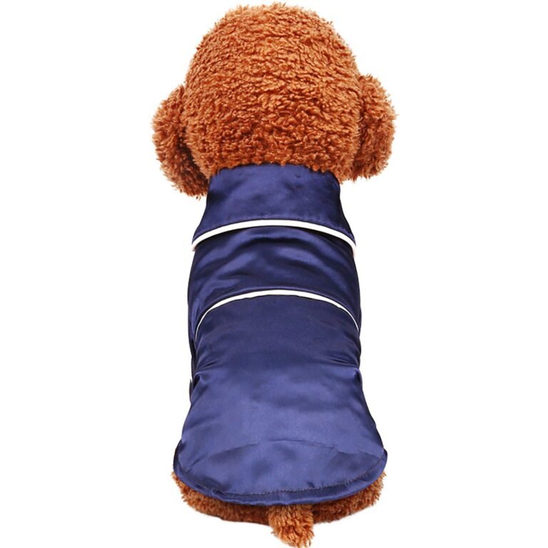 Brown dog wearing a blue satin pajama shirt with white trim