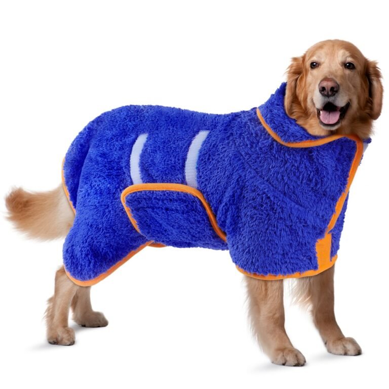Golden retriever dog wearing a blue and orange dog drying coat