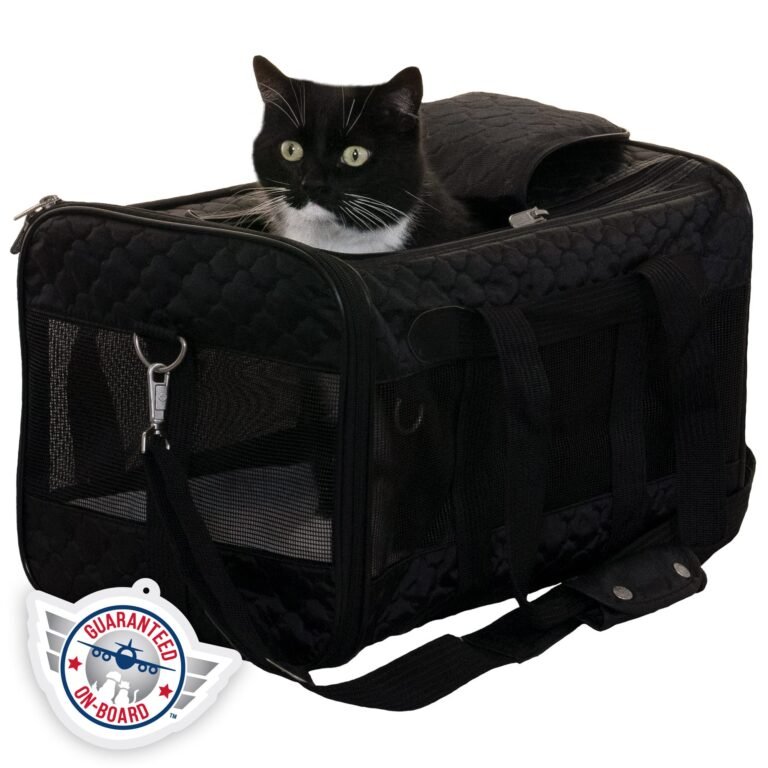 Black and white cat peeking out of a black quilted pet carrier