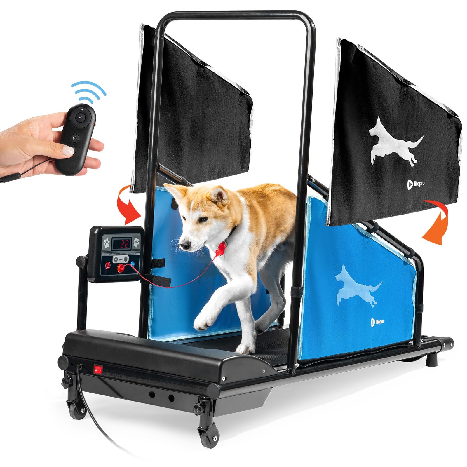 Dog on a treadmill with remote control and blue side panels