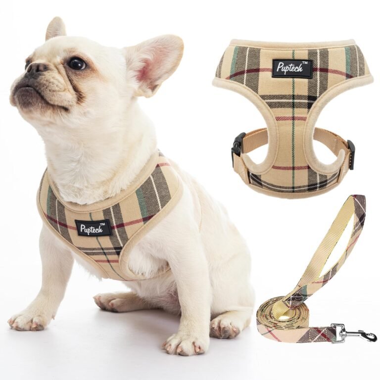 French bulldog wearing plaid harness with matching leash, and harness set