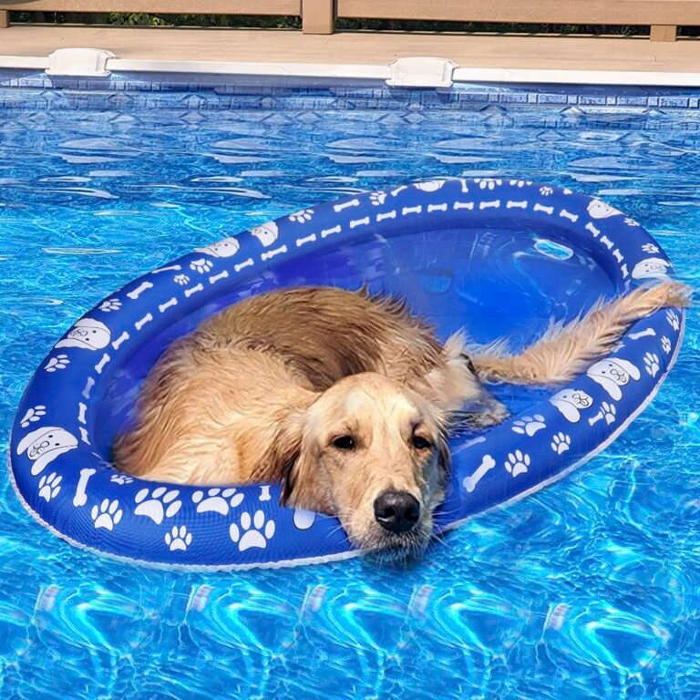 Golden retriever dog relaxing in a blue dog pool float in a swimming pool