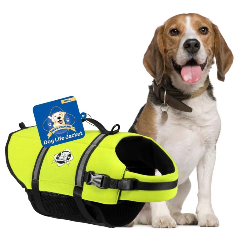 Beagle dog with life jacket, "Paws Aboard" brand, small size