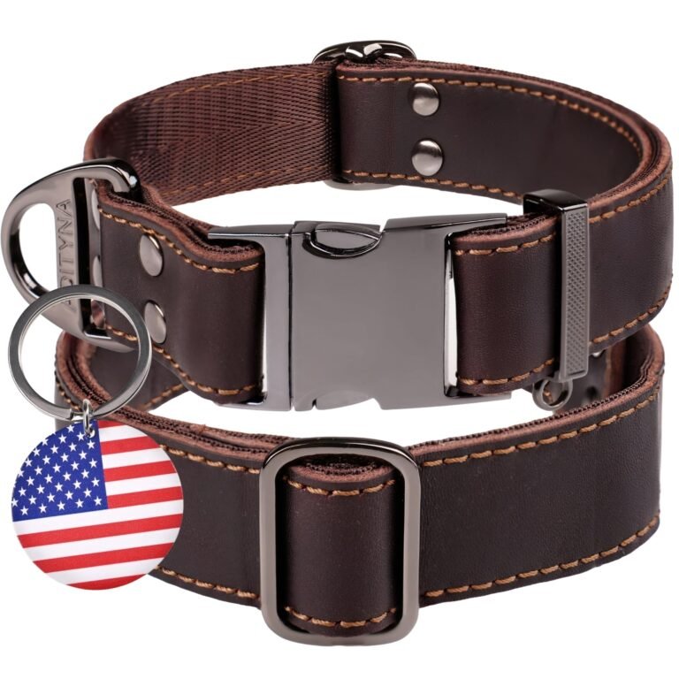 Brown leather dog collar with metal buckle and American flag tag