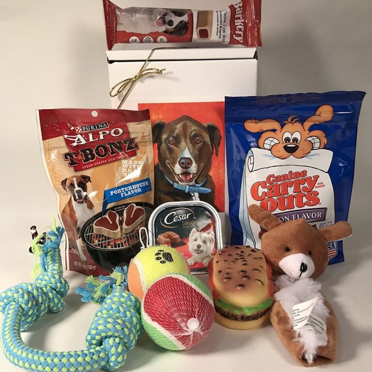 Dog treats, toys, and food items arranged for a gift basket