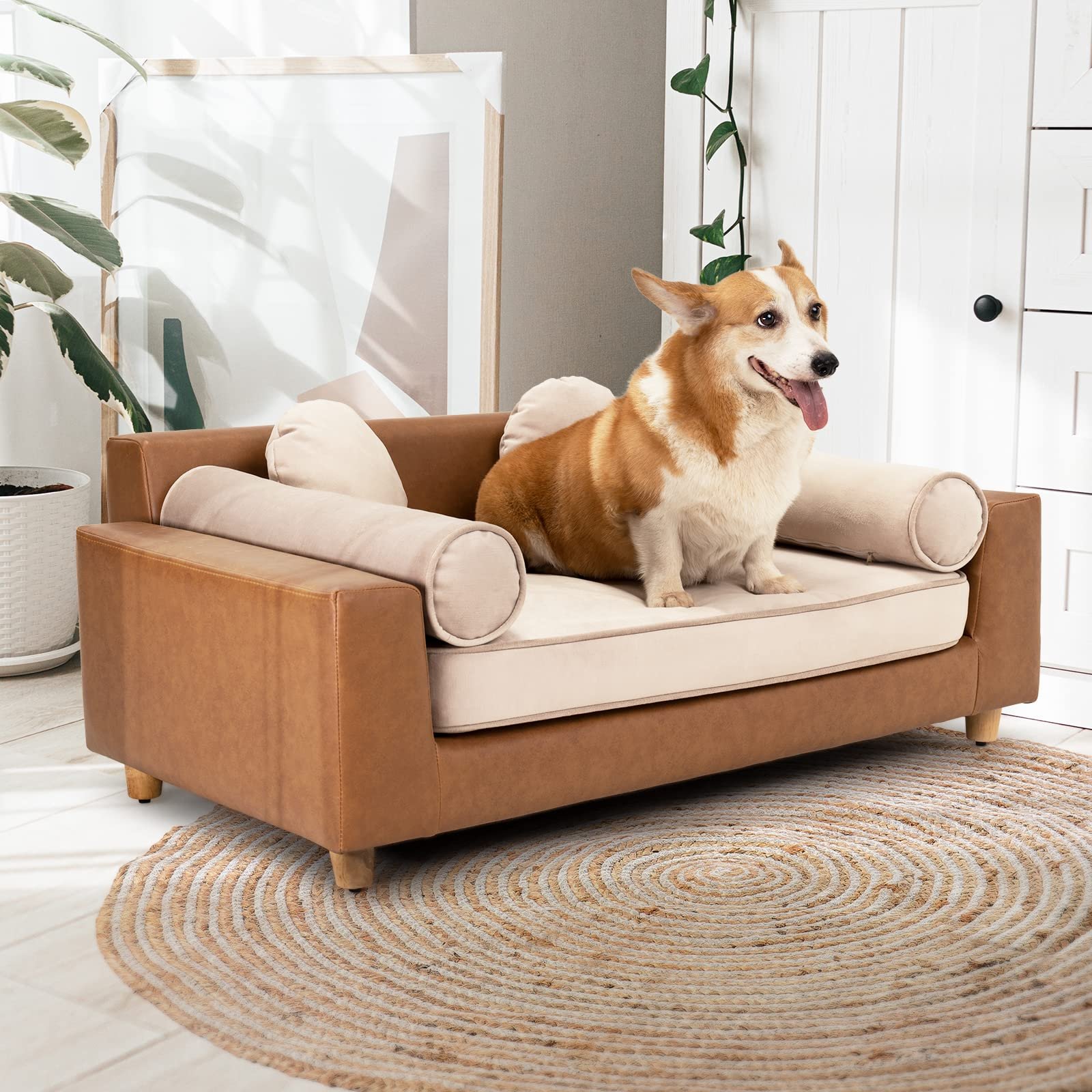 Corgi dog sitting on a brown dog sofa with pillows, rug