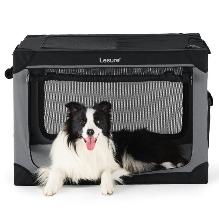 Border Collie dog inside a gray and black "Lesure" pet carrier